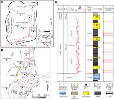 Nanoscale Pore Characteristics of the Lower Permian Shanxi Formation Transitional Facies Shale, Eastern Ordos Basin, North China